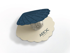 AEEDC Dubai case study – index media