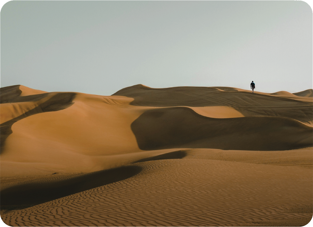 Desert dunes with person standing – the dates farm case study